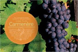 Carmenère by winesofchile.org