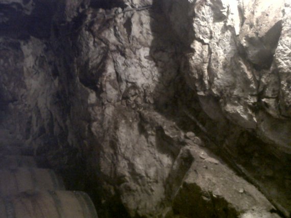 Cave de Pascal Lambert www.vinpur.com